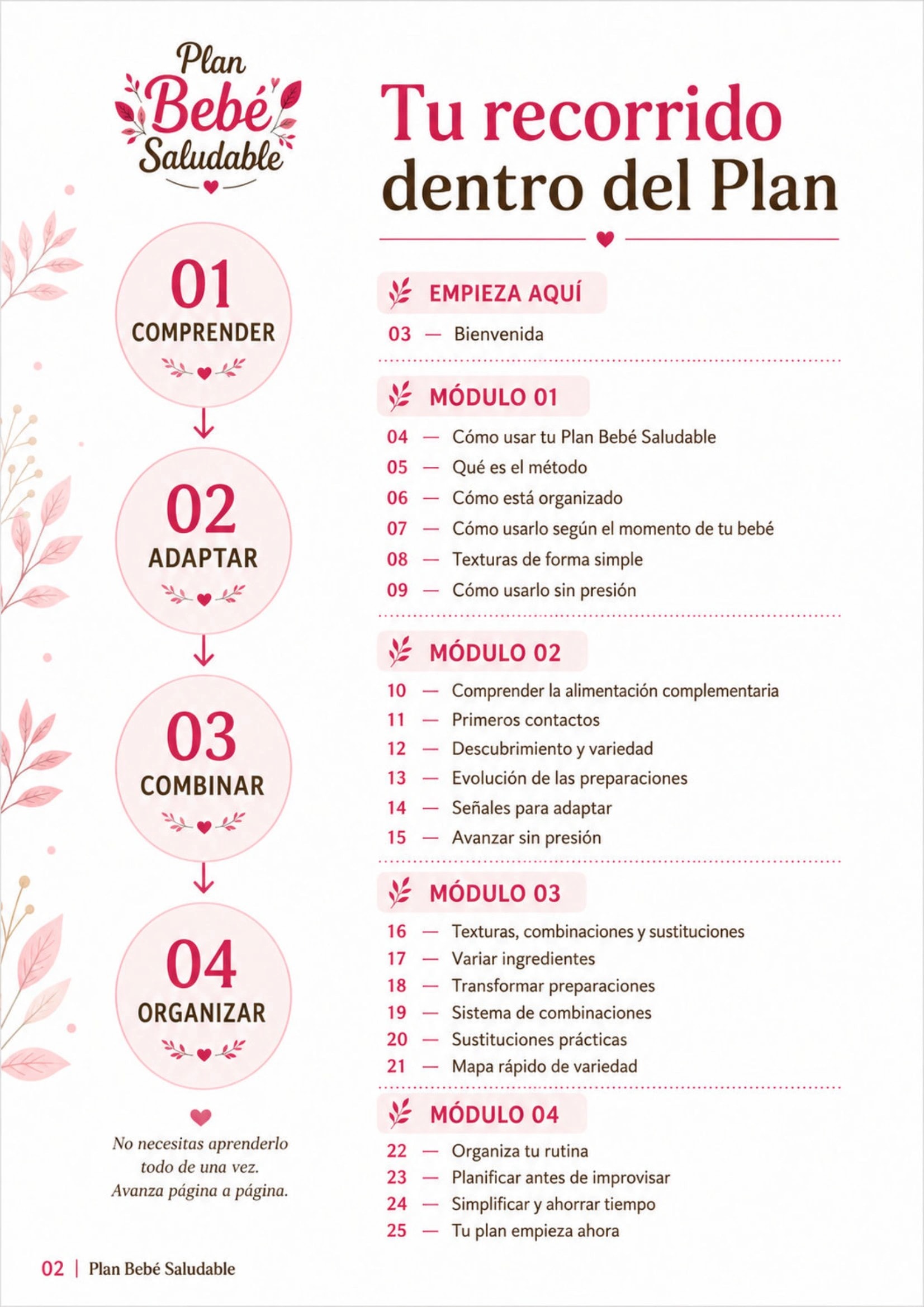 Plan Bebé Saludable